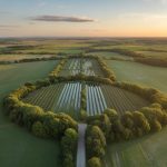 Investir dans les forêts et terres agricoles : un placement durable et fiscalement avantageux